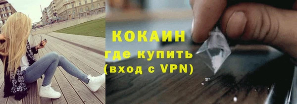 ГАЛЛЮЦИНОГЕННЫЕ ГРИБЫ Богданович